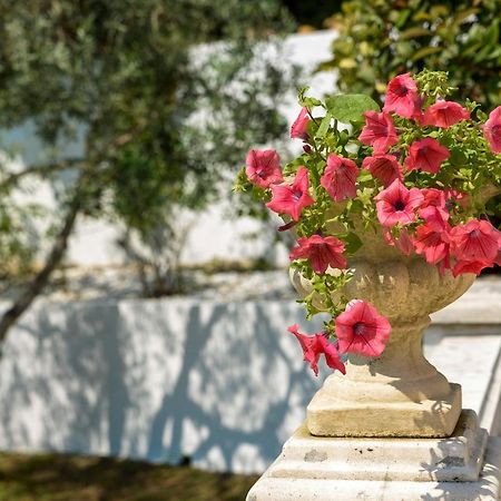 La Maisonnette Du Clos La Roquette-sur-Siagne Εξωτερικό φωτογραφία