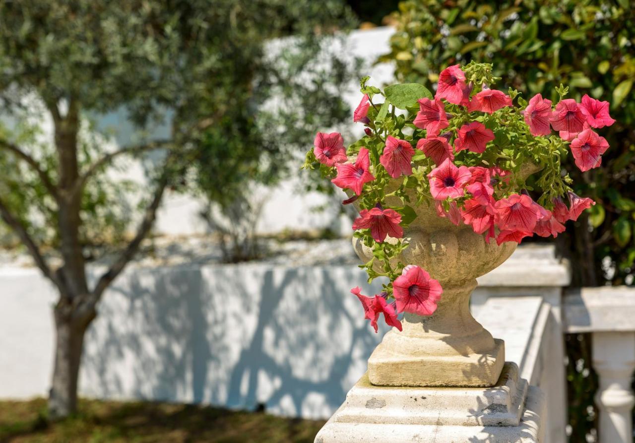 La Maisonnette Du Clos La Roquette-sur-Siagne Εξωτερικό φωτογραφία