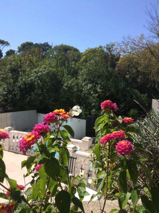 La Maisonnette Du Clos La Roquette-sur-Siagne Εξωτερικό φωτογραφία